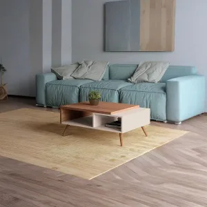 Modern coffee table MON500